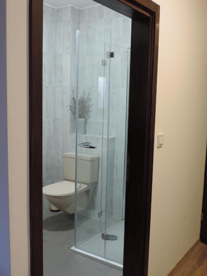 Hotel Vincentinum Novigrad Na Dobri ドゥガ・レサ エクステリア 写真