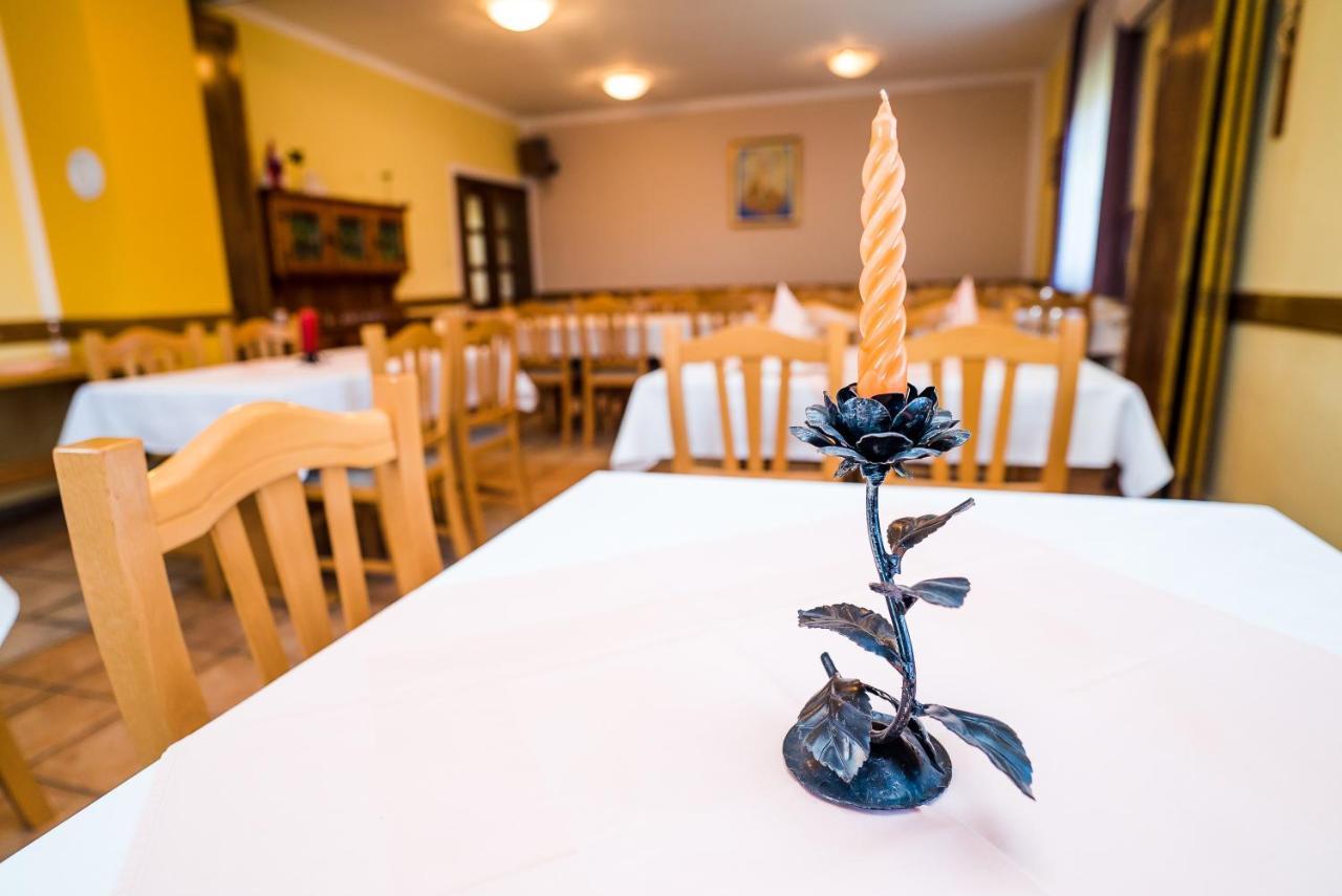 Hotel Vincentinum Novigrad Na Dobri ドゥガ・レサ エクステリア 写真